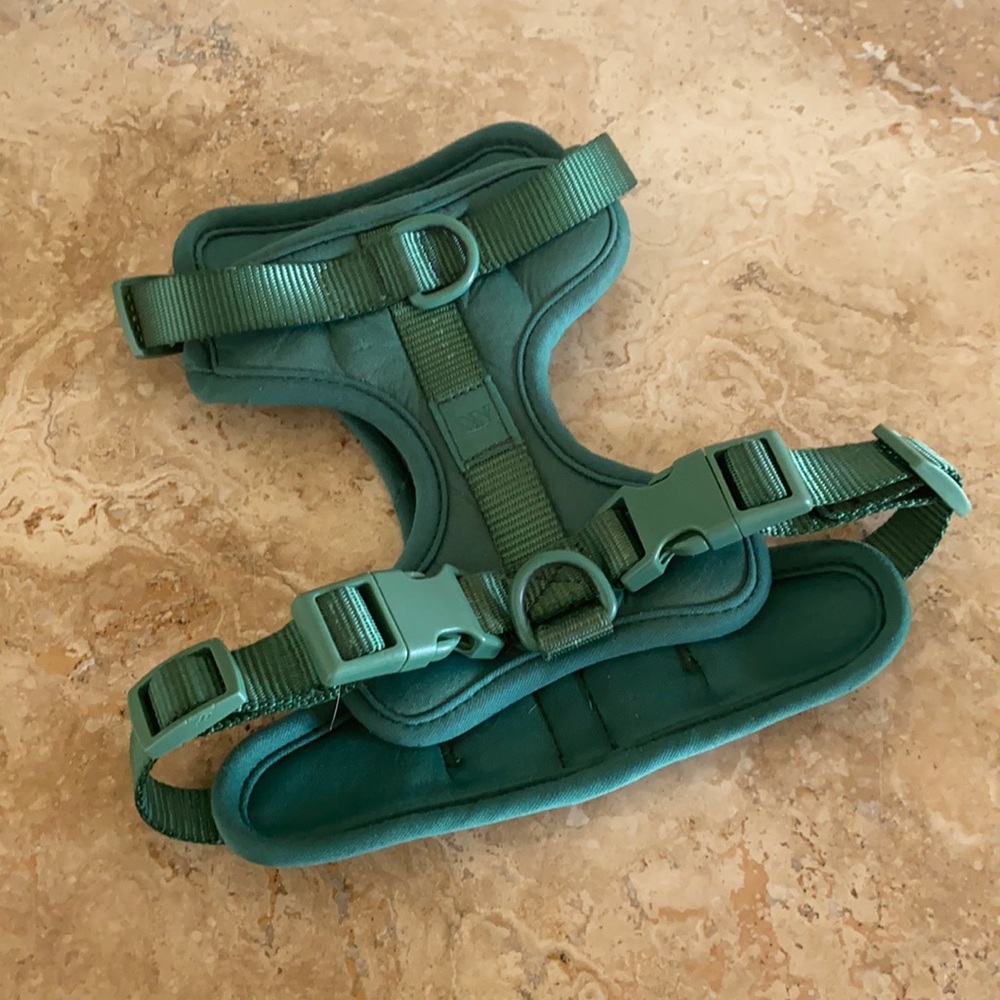 Wild One Harness (Size Small, Spruce)